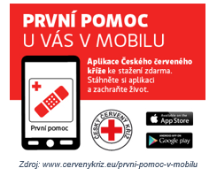 Cestovní lékárnička: Malý kufřík, který může zachránit dovolenou 3 prvnipomoc1