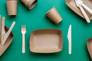 Činnosti krajských hygienických stanic v potravinářských podnicích 1 obrazek 1