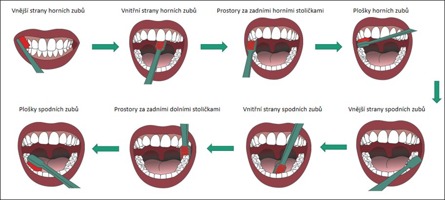 Věděli jste, že i zuby mají svůj svátek? 2 technika cisteni