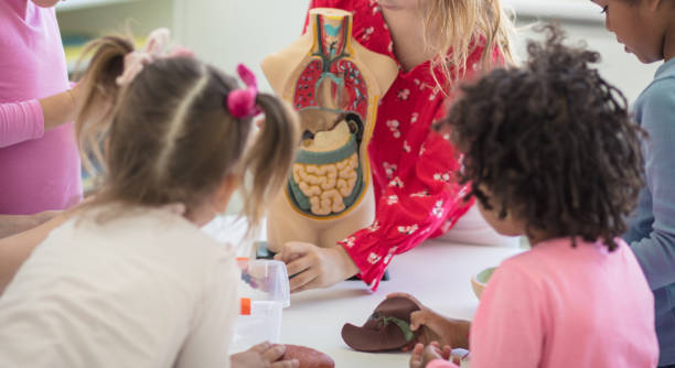 istockphoto 1179754316 612x612 1