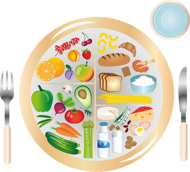 Světový den výživy - dne 16. října 3 my plate 5336211 640