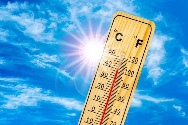 istockphoto 1250419405 612x612 1
