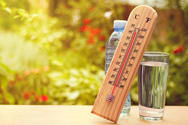 istockphoto 483631780 612x612 1